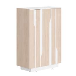 Шкаф СФ-574202